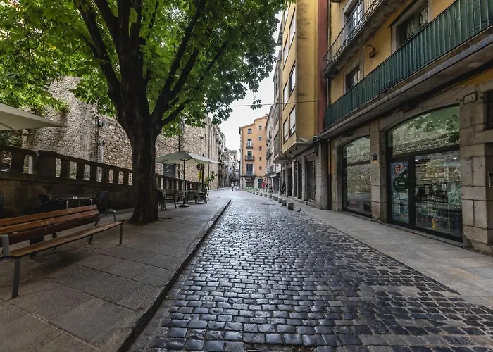 Appartamento Bravissimo Calderers El Drac, One-bedroom Girona